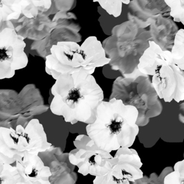 twitter backgrounds black and white flowers