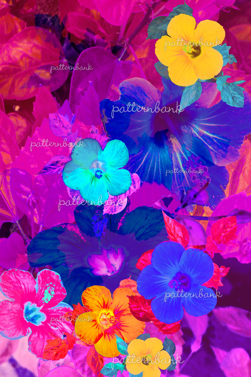 Tropical Flowers With Transparent Overlay by Wanderlust Designs Royalty